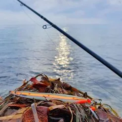 3D Line-Thru Sandeel (Savage Gear) -Beten Försäljning 3d line thru sandeel savage gear 6