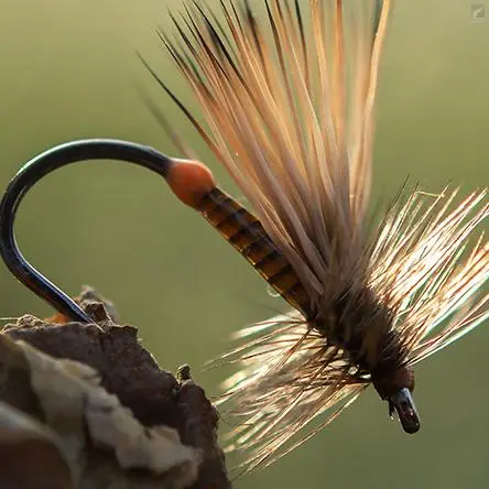 Ahrex FW503 - Dry Fly Light Barbless 5 Ahrex FW503 - Dry Fly Light Barbless - Bild 5