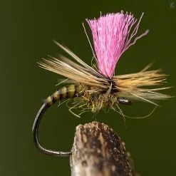 Framsida -Beten Försäljning ahrex fw527 big gap dry barbless 1