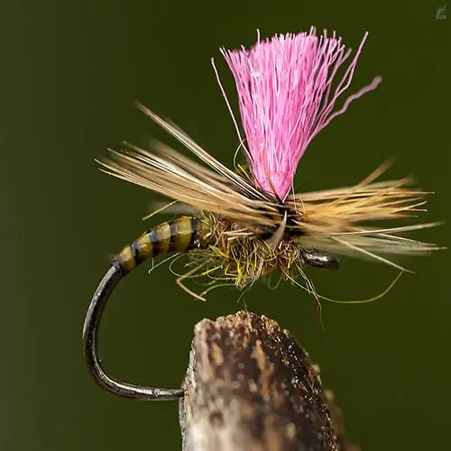 Ahrex FW527 - Big Gap Dry Barbless 2 Ahrex FW527 - Big Gap Dry Barbless - Bild 2