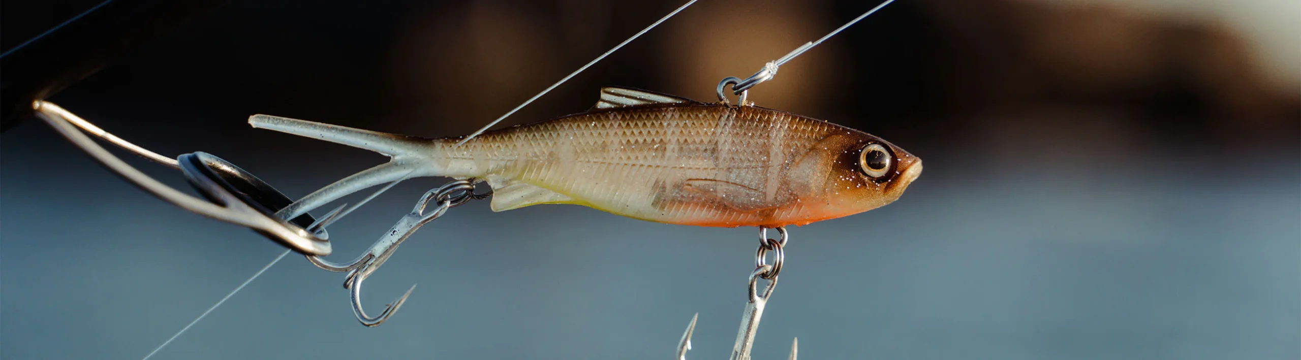 Framsida 30 Framsida -Beten Försäljning banner vibelicious scaled