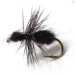 Unique Flies Black Ant