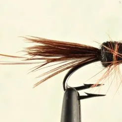 Fulling Mill Black Francis