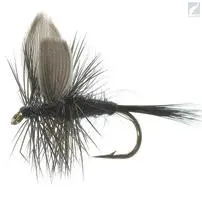 Unique Flies Black Gnat