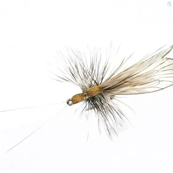 J:sonSweden Caddis Adult 1 J:sonSweden Caddis Adult