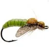 J:sonSweden Caddis Pupa
