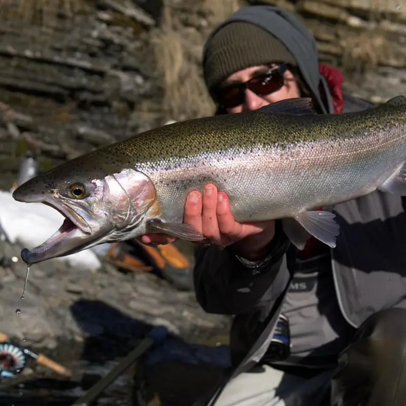 Cortland 444 Big Shot 6 Cortland 444 Big Shot - Bild 6