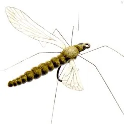 J:sonSweden Cranefly Saffron Gold
