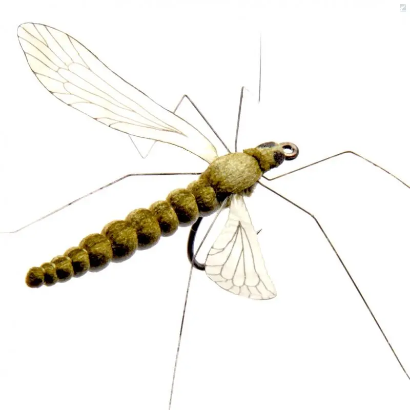 J:sonSweden Cranefly Saffron Gold 1 J:sonSweden Cranefly Saffron Gold