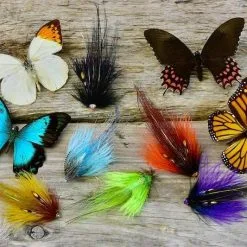 Frödinflies Butterfly Series 5 Frödinflies Butterfly Series -Beten Försäljning frdinflies butterfly series 2