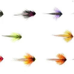 Frödinflies Butterfly Series