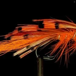 Fulling Mill General Practitioner