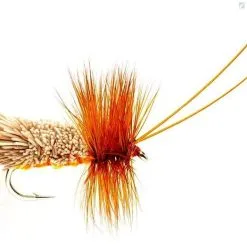 Fulling Mill Goddard Amber