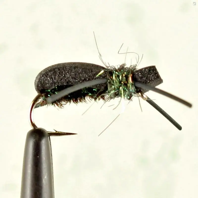 Fulling Mill Kicking Beetle 1 Fulling Mill Kicking Beetle