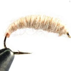 Fulling Mill Killer Bug