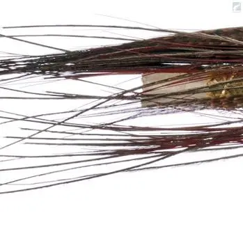 Vision Lady Caroline Tube 1 Vision Lady Caroline Tube