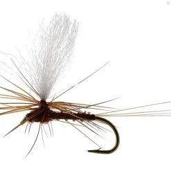 Unique Flies Marginata Dun Biot