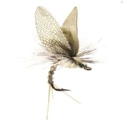 J:sonSweden Mayfly Emerger