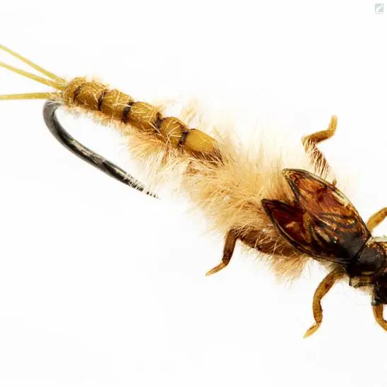 J:sonSweden Mayfly Nymph 1 J:sonSweden Mayfly Nymph