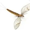 J:sonSweden Mayfly Spent