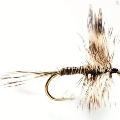 Fulling Mill Mosquito