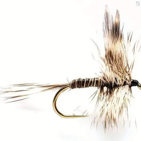 Fulling Mill Mosquito 1 Fulling Mill Mosquito