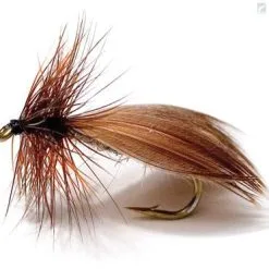 Unique Flies Nattländer