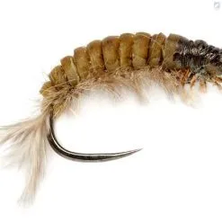 Fulling Mill Oliver Edwards Hydropsyche Larva V2