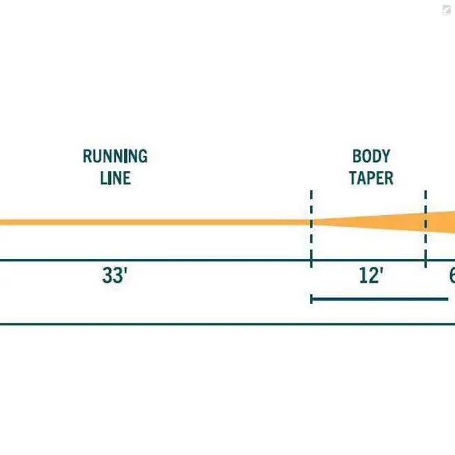 RIO Products RIO Avid Gold 3 RIO Products RIO Avid Gold - Bild 3