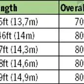 RIO Products RIO Avid Gold 4 RIO Products RIO Avid Gold - Bild 4