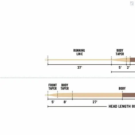 RIO Products RIO LightLine WF & DT 2 RIO Products RIO LightLine WF & DT - Bild 2