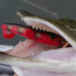 Savage Gear 3D Goby Shad -Beten Försäljning savage gear 3d goby shad 3