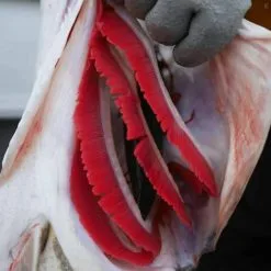 Savage Gear 3D Goby Shad -Beten Försäljning savage gear 3d goby shad 4