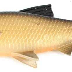 Savage Gear 3D River Roach -Beten Försäljning savage gear 3d river roach 4