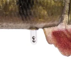 Savage Gear 4D Line Thru Perch -Beten Försäljning savage gear 4d line thru perch 3