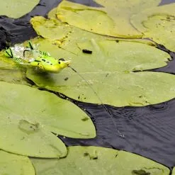 Savage Gear The Fruck - 3D Hollow Duckling 5 Savage Gear The Fruck - 3D Hollow Duckling -Beten Försäljning savage gear the fruck 3d hollow duckling 2