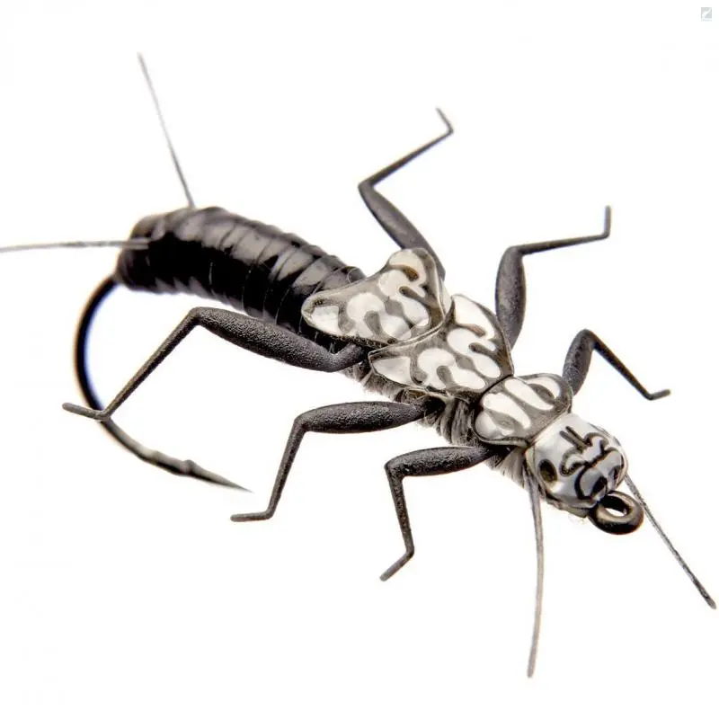 J:sonSweden Stonefly Nymph 1 J:sonSweden Stonefly Nymph