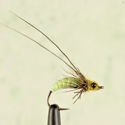 Fulling Mill Struggling Sedge