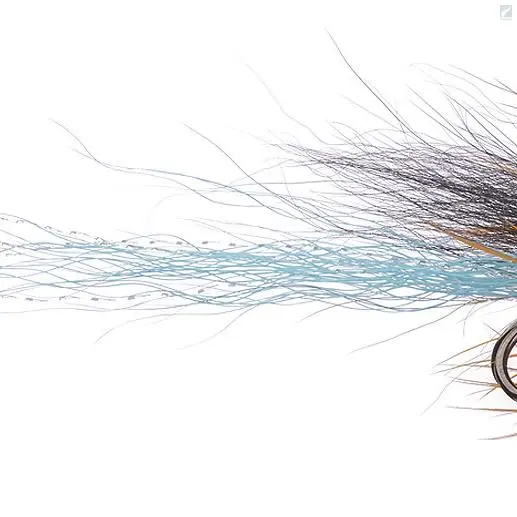 The Podolsky Fly 1 The Podolsky Fly