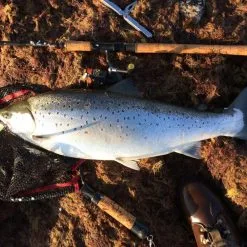 JKing Fishing Vekkuli 110 11 JKing Fishing Vekkuli 110 -Beten Försäljning vekkuli 110 5