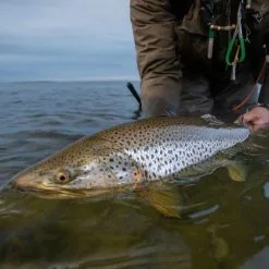 Vision Meri Fly Line -Beten Försäljning vision meri fly line 3